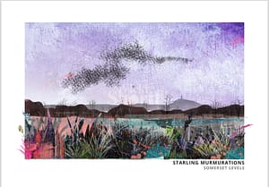 Starling Murmurations Art Print