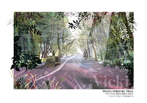 Trans-Pennine Trail Art Print